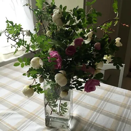 Gran Hotellihuoneistot 2 Suolahti