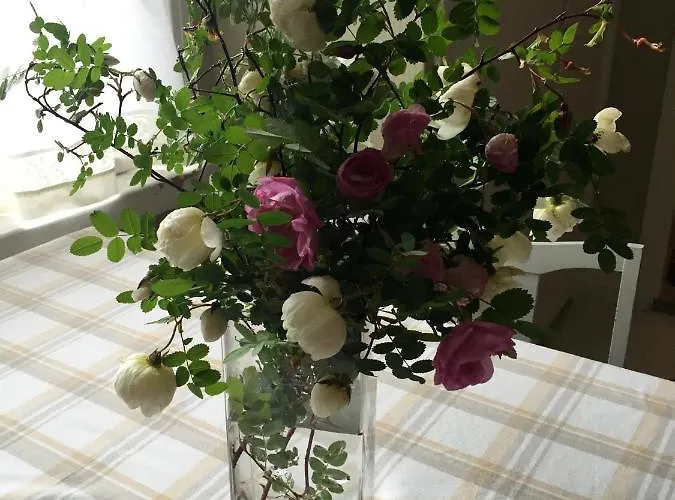 Gran Hotellihuoneistot 2 Suolahti